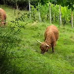 Glamping - Hayrack Vesel Farmház