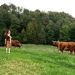 Farmház Glamping - Hayrack Vesel Trebnje
