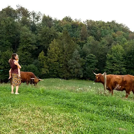 Agroturismo Glamping - Hayrack Vesel Trebnje