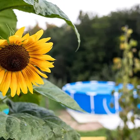 Glamping - Hayrack Vesel Agroturismo *