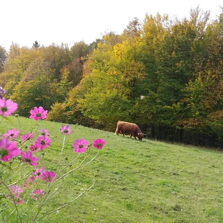Glamping - Hayrack Vesel Agroturismo *