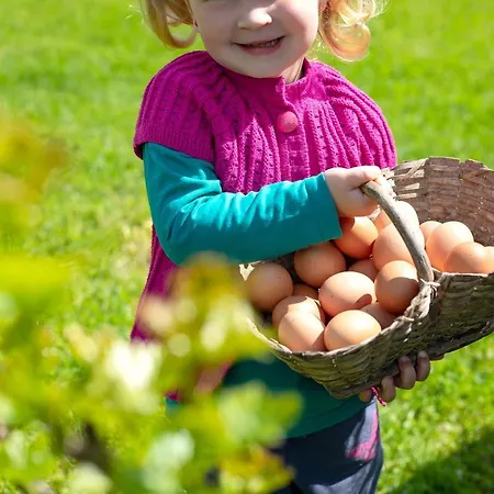 ファームステイ Glamping - Hayrack Vesel Trebnje