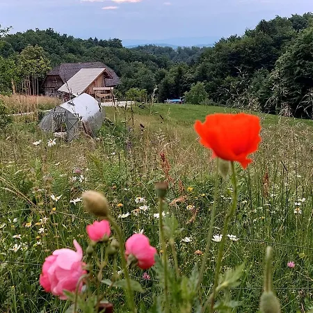 Glamping - Hayrack Vesel *