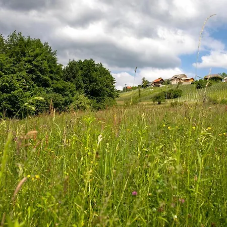 Glamping - Hayrack Vesel *