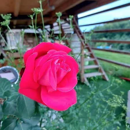 Glamping - Hayrack Vesel Agroturismo