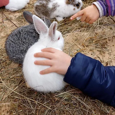 Glamping - Hayrack Vesel Trebnje