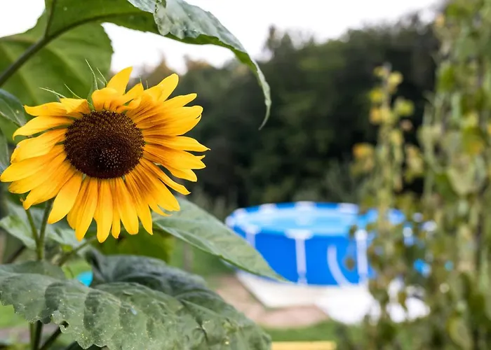 Glamping - Hayrack Vesel Séjour à la ferme *