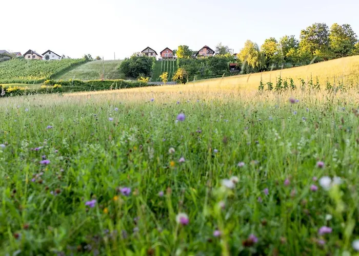 Glamping - Hayrack Vesel *