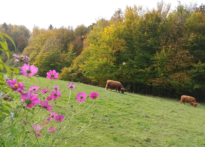 Glamping - Hayrack Vesel Séjour à la ferme *