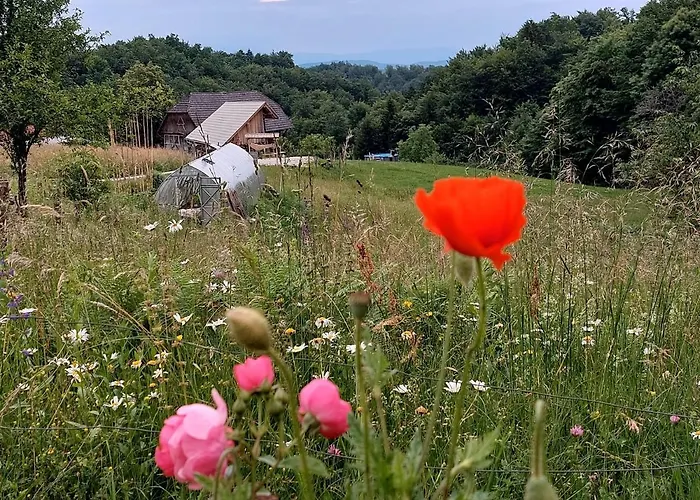 Glamping - Hayrack Vesel *