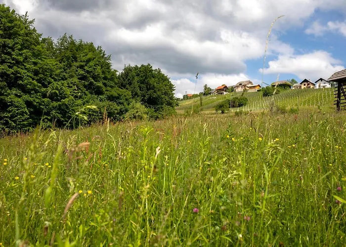 Glamping - Hayrack Vesel *