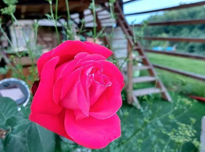 Glamping - Hayrack Vesel Séjour à la ferme