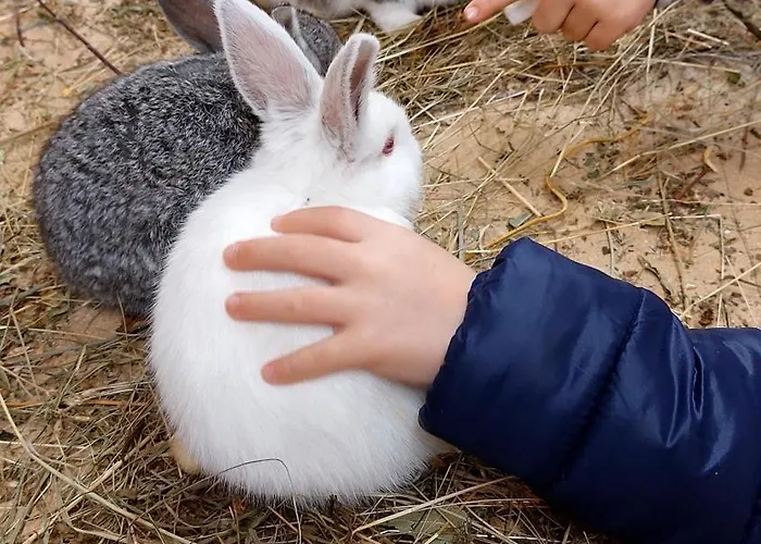 Glamping - Hayrack Vesel Trebnje